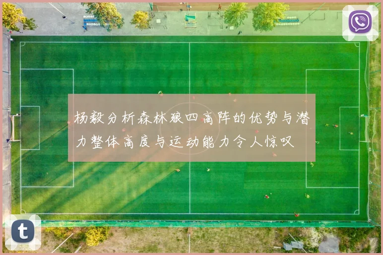 杨毅分析森林狼四高阵的优势与潜力整体高度与运动能力令人惊叹